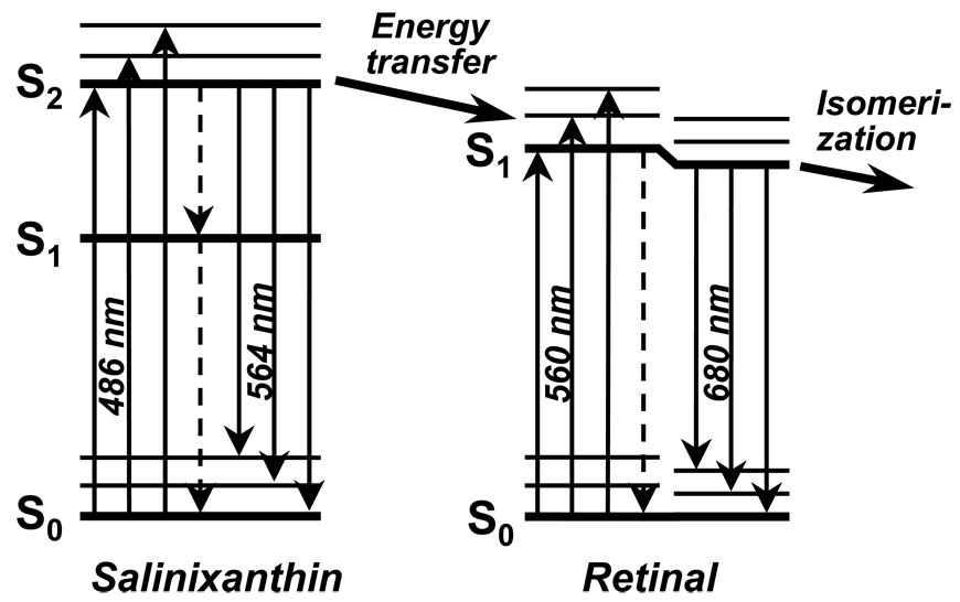 Fig. 4