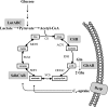 Fig 8