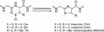 Scheme 2