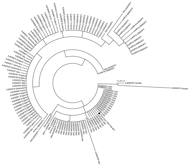 Figure 7