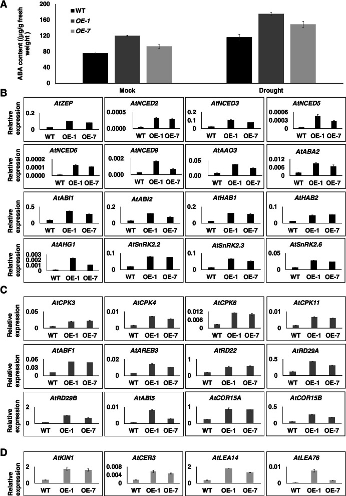 Fig. 5