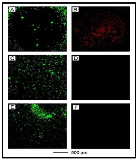 Figure 10.