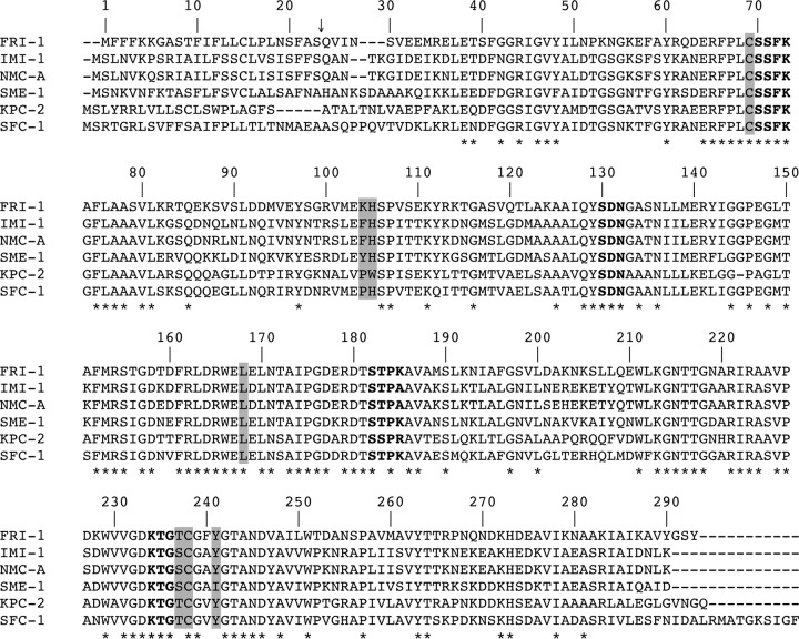 FIG 1