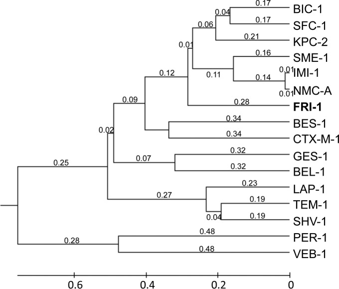 FIG 2