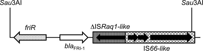 FIG 3