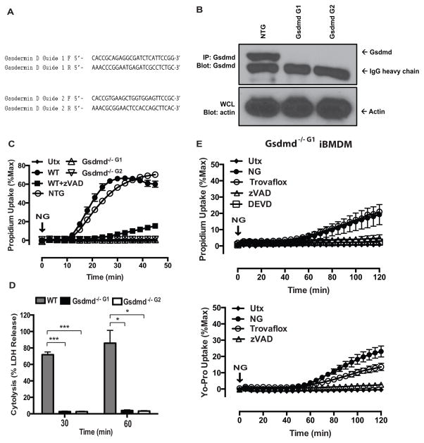 FIGURE 3