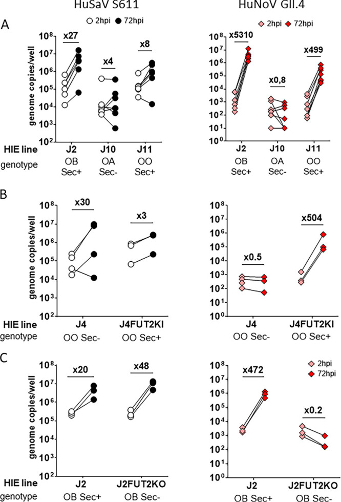 FIG 6