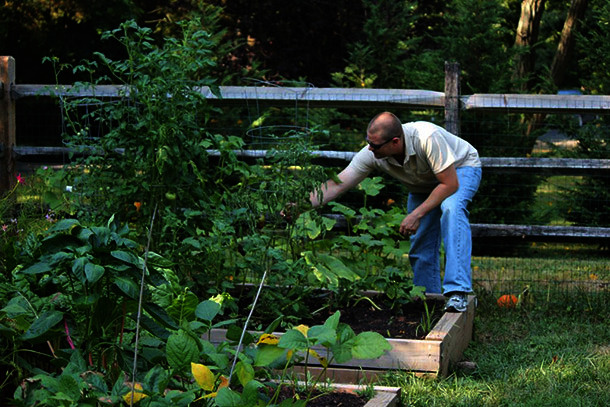 Man working with plants in a raised garden bed.