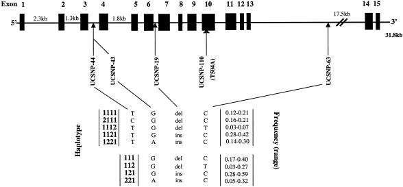 Figure  2