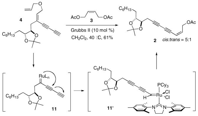 Scheme 3