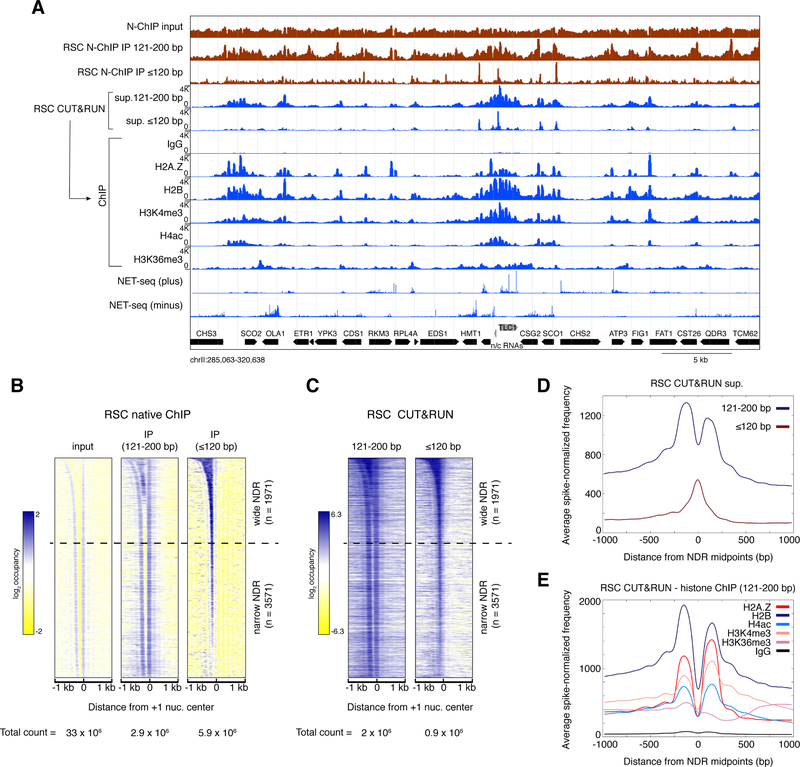 Figure 2: