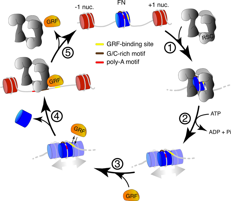 Figure 5: