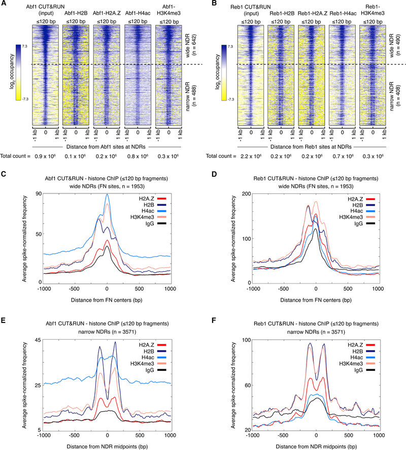 Figure 4: