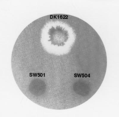 FIG. 5