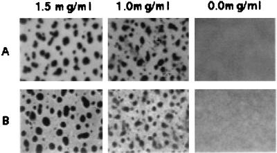 FIG. 7