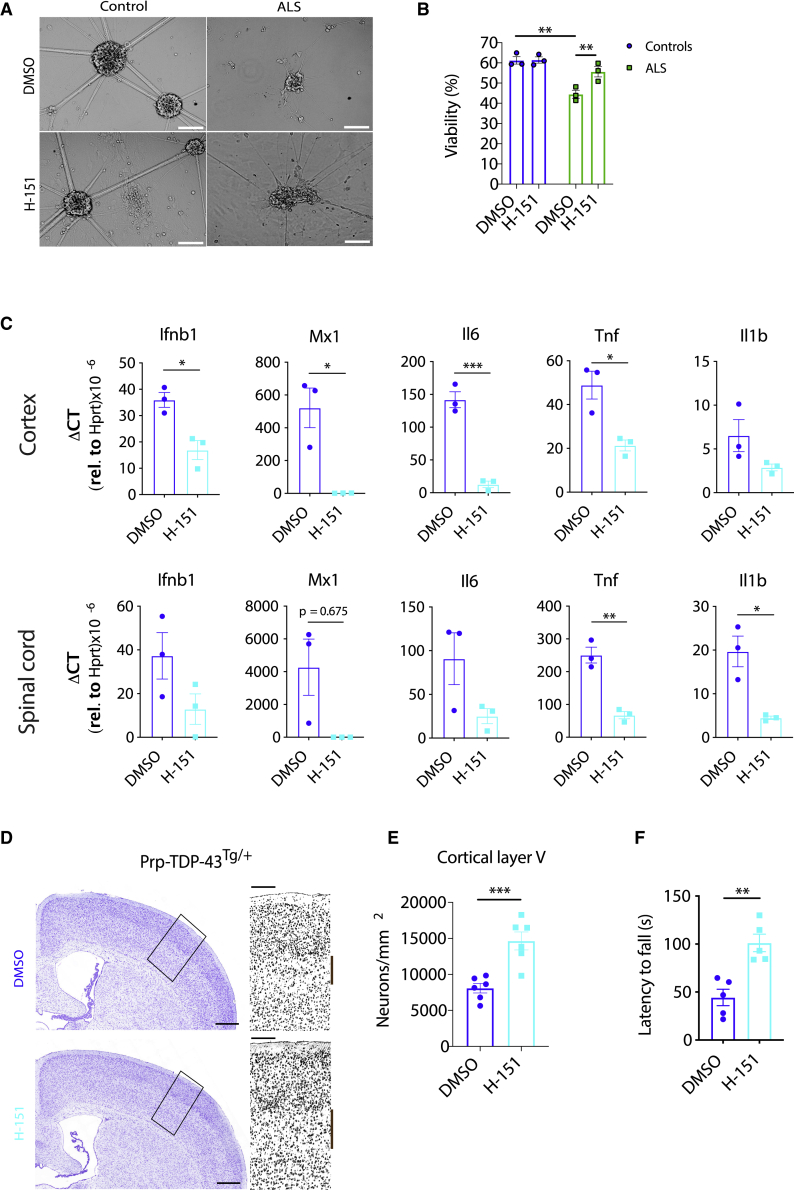 Figure 6