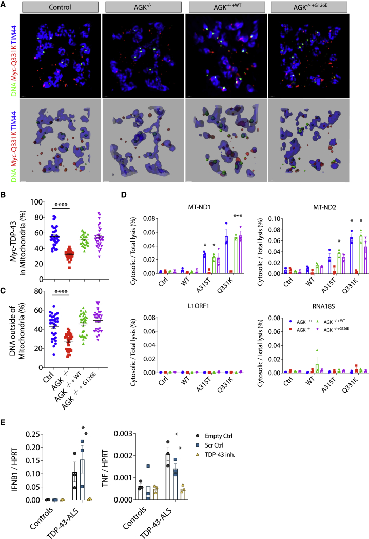 Figure 3