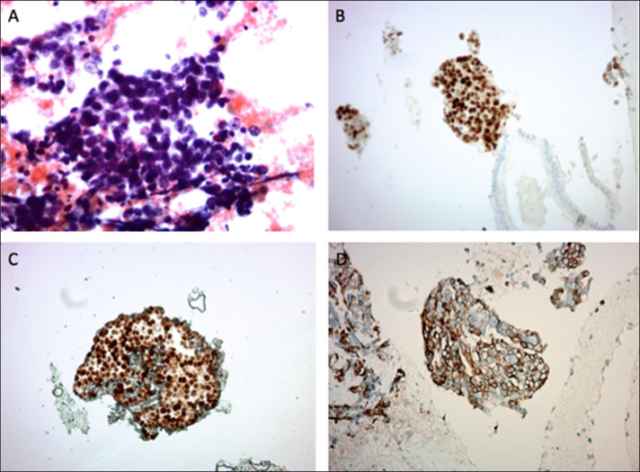 Figure 3.