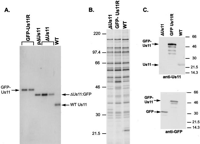 FIG. 7.