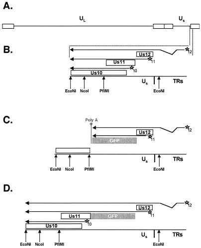 FIG. 6.