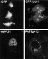 FIG. 4.