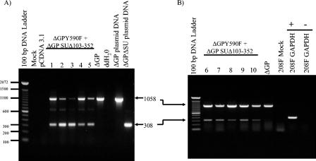 FIG. 6.