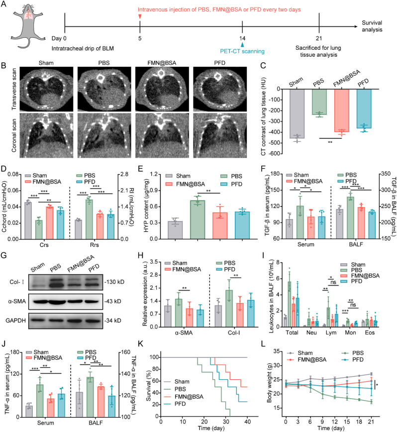 Fig. 6