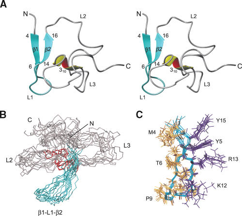 FIGURE 3.