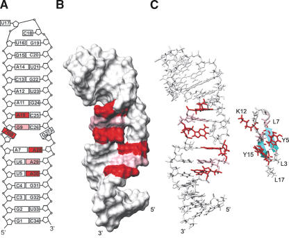 FIGURE 7.