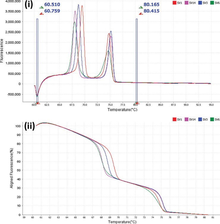 FIG 1