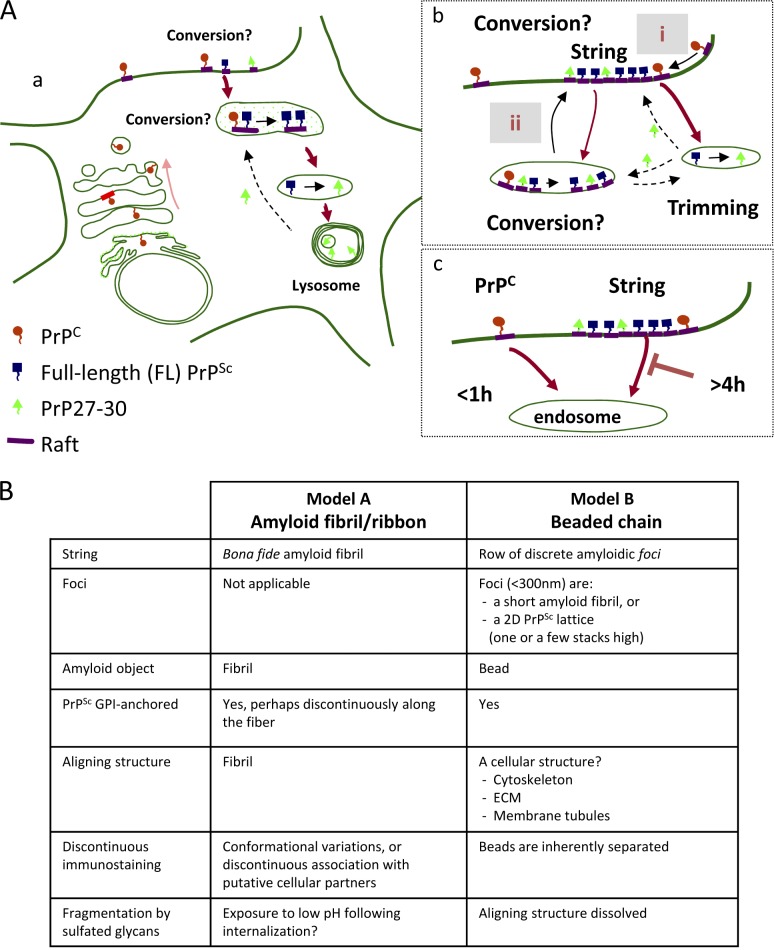 Figure 10.