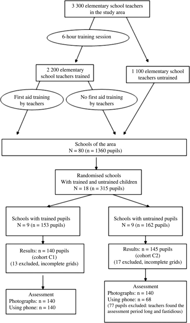 Figure 1