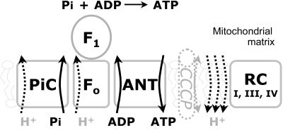 Figure  1. 