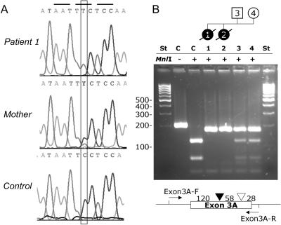 Figure  3. 