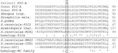 Figure  4. 