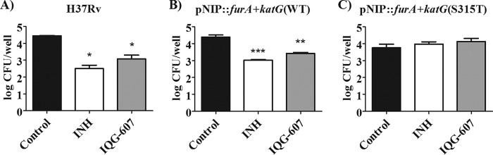 FIG 2