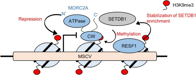 Figure 7.