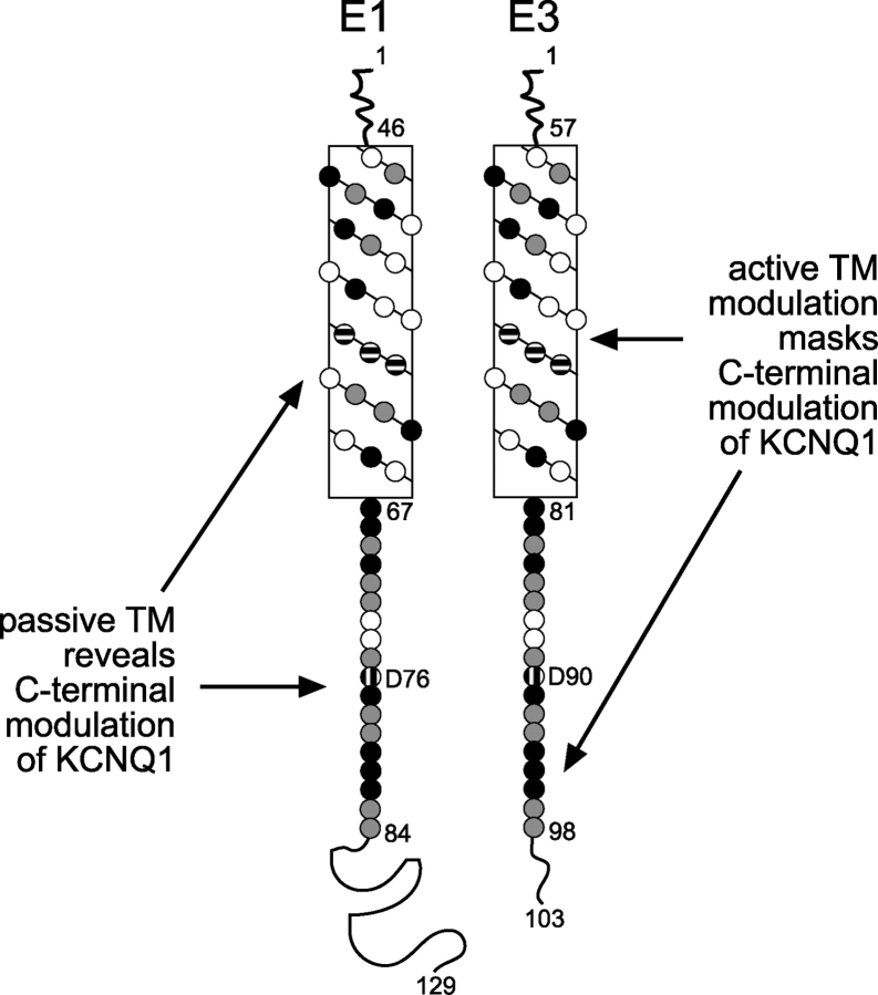 Figure 9. 