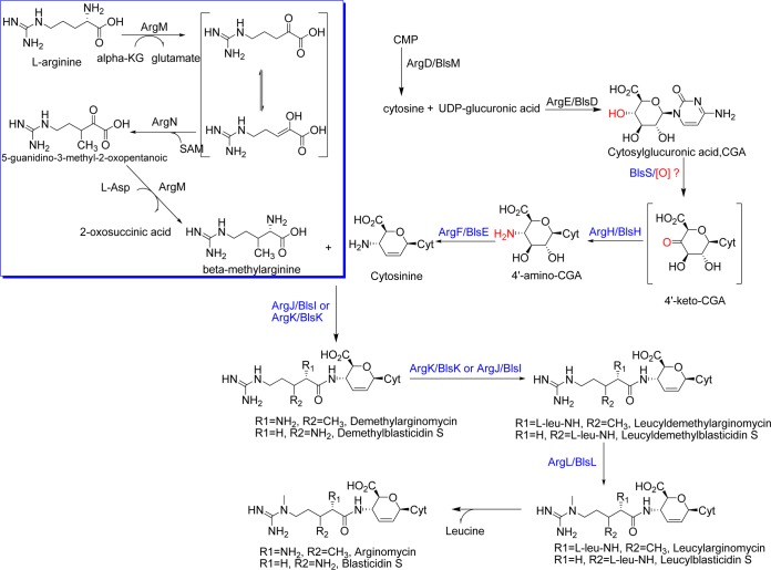 FIG 4