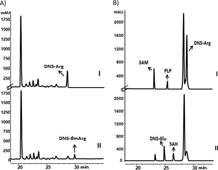 FIG 6