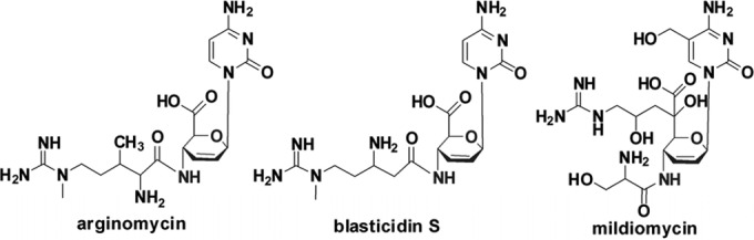 FIG 1