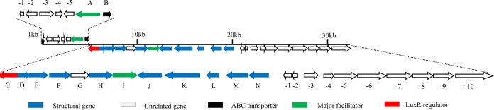 FIG 2