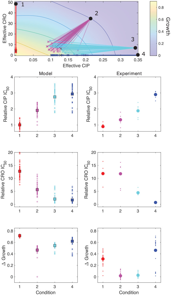 Figure 5—figure supplement 2.