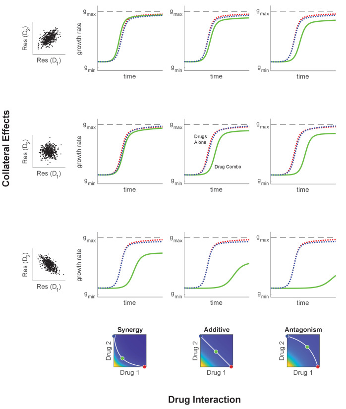 Figure 6—figure supplement 1.