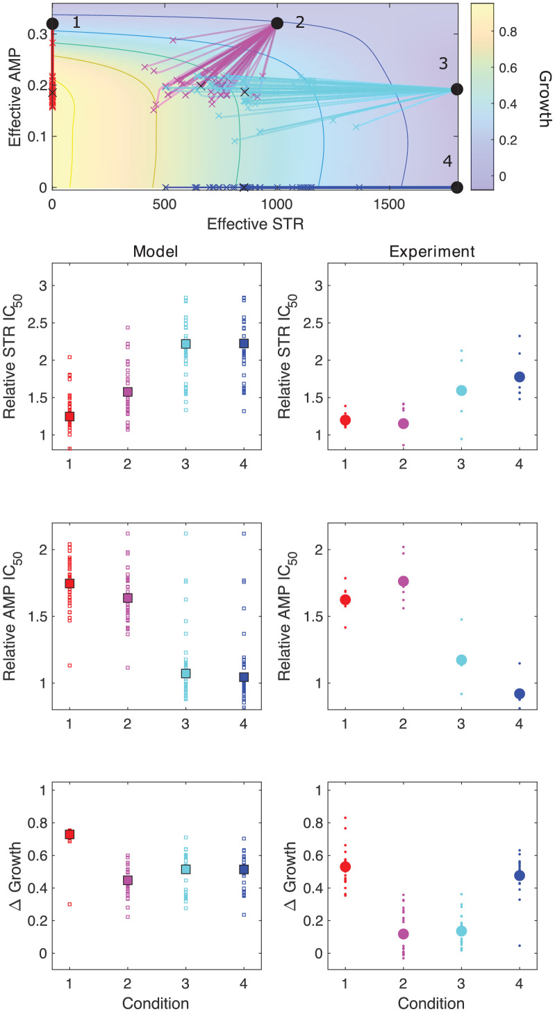 Figure 5—figure supplement 1.