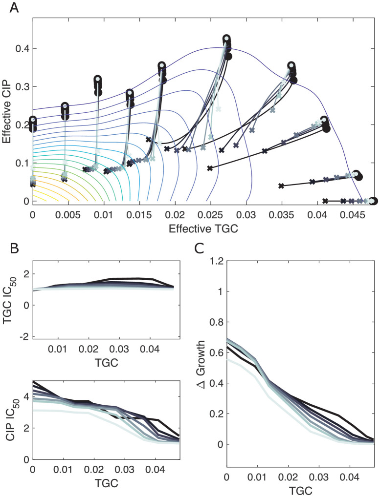 Figure 5—figure supplement 3.