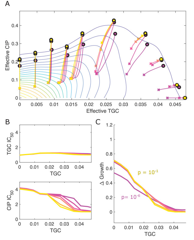 Figure 5—figure supplement 5.