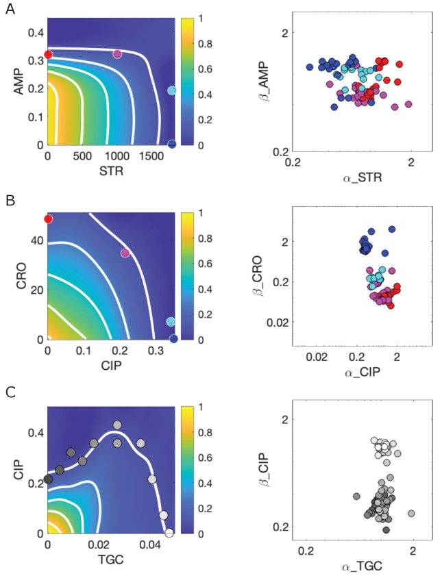 Figure 3—figure supplement 1.