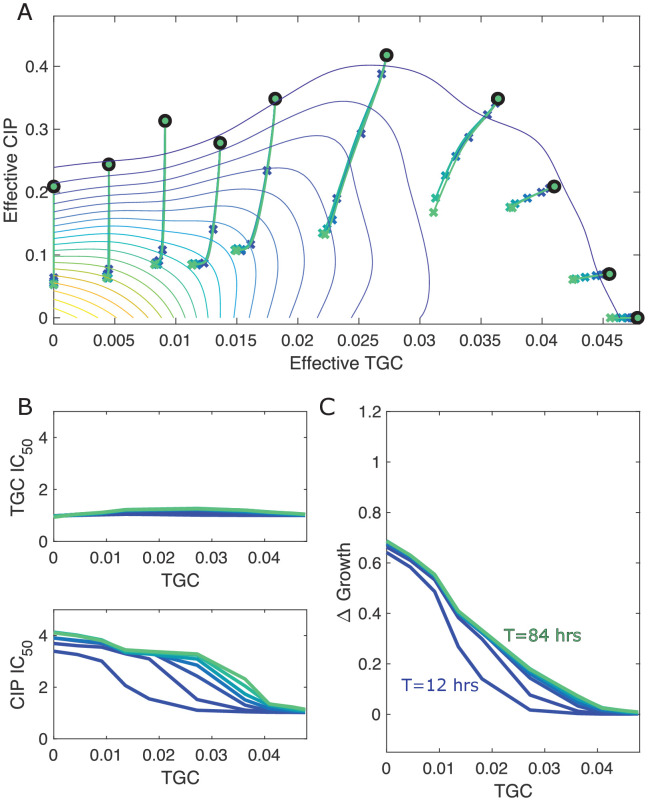 Figure 5—figure supplement 4.