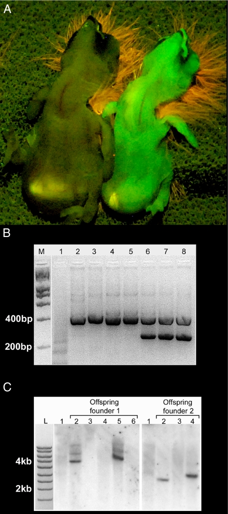 Fig. 3.